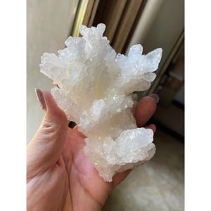 White Aragonite Cluster | Cave Calcite from Mexico
